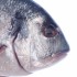 【12星座】絶対に片思い成就☆魚座の彼ってこんな人!